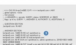 Определение DNS сайта